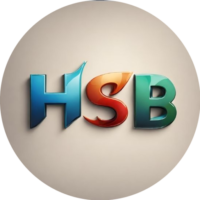 H. Sinan Bulgurcu